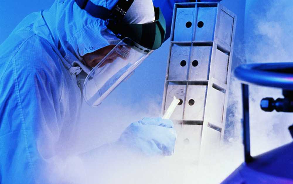 Cryonics Service